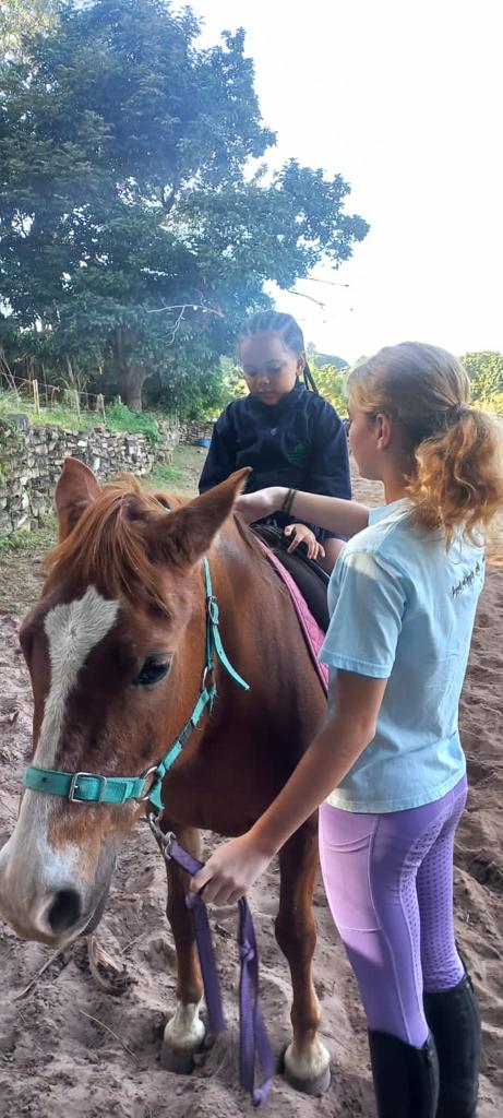 An unforgettable day at Gary’s stable